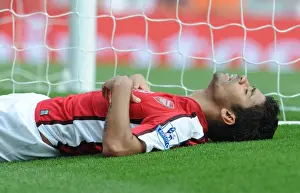 Arsenal's Eduardo Scores Brace in Dominant 4-0 Win over Wigan Athletic at Emirates Stadium (2009)
