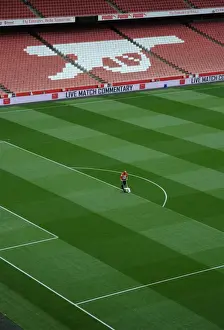 Arsenal V Sunderland 2014-15 Prints: Arsenal's Emirates Stadium: Pitch Marking Before Arsenal vs. Sunderland (2015)