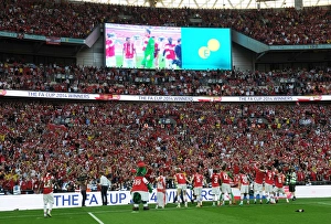 Arsenal V Hull City - FA Cup Final 2014 Prints: Arsenal's FA Cup Victory: Arsenal vs. Hull City, 2014 - Triumph at Wembley Stadium