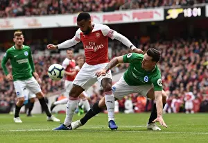 Arsenal's Lacazette Faces Off Against Brighton's Dunk in Intense Premier League Clash