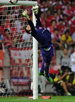 Uwara Red Diamonds V Arsenal 2013-14 Prints: Arsenal's Lukas Fabianski in Action against Urawa Red Diamonds, Japan 2013