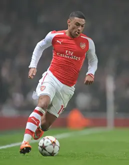 Arsenal V Borussia Dortmund 2014-15 Prints: Arsenal's Oxlade-Chamberlain in Action during the Arsenal v Borussia Dortmund UEFA Champions League 2014-15 Match