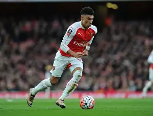 Arsenal V Sunderland FA Cup 2015-16 Prints: Arsenal's Oxlade-Chamberlain Shines in FA Cup Victory Over Sunderland
