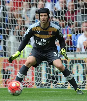 Arsenal's Petr Cech in Action: Crystal Palace vs Arsenal (2015-16)