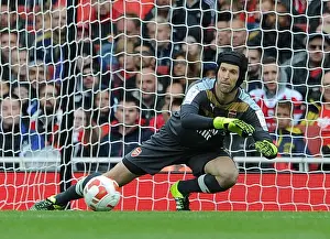 Arsenal's Petr Cech in Action Against VfL Wolfsburg at Emirates Cup 2015/16