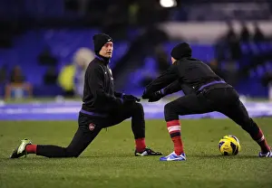 Arsenal's Rosicky and Arshavin Clash in Everton Showdown (2012-13)