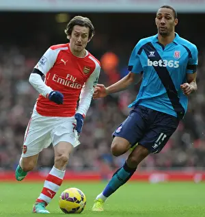 Arsenal V Stoke City 2014-15 Prints: Arsenal's Rosicky Clashes with Stoke's Nzonzi in Premier League Showdown