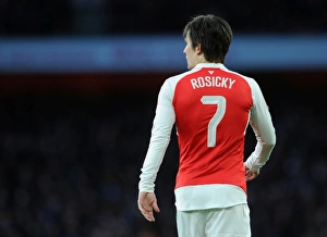 Arsenal's Rosicky in FA Cup Action: Arsenal vs. Burnley, 2016