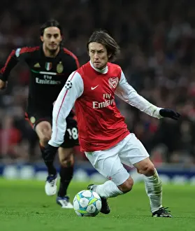 Arsenal V AC Milan 2011-12 Prints: Arsenal's Rosicky Fights for Victory against AC Milan in the UEFA Champions League