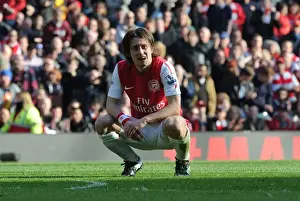 Arsenal V Tottenham 2011-12 Prints: Arsenal's Rosicky Fights for Victory Against Tottenham in the Premier League (2011-12)