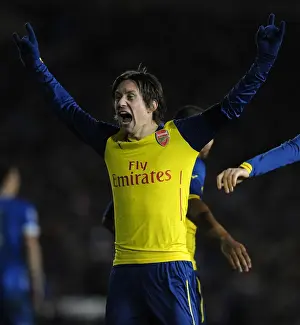 Brighton And Hove Albion V Arsenal - FA Cup 2014/15 Prints: Arsenal's Rosicky Scores in FA Cup Victory over Brighton & Hove Albion