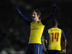 Images Dated 25th January 2015: Arsenal's Rosicky Scores Thrilling FA Cup Goal Against Brighton & Hove Albion