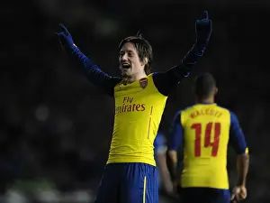 Brighton And Hove Albion V Arsenal - FA Cup 2014/15 Prints: Arsenal's Rosicky Scores Thrilling FA Cup Goal Against Brighton & Hove Albion
