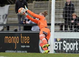Arsenal Ladies V Notts County Ladies 3rd April 2016 Prints: Arsenal's Sari van Veenendaal Denies Notts County Ladies in FA Cup Quarterfinals Penalty Shootout