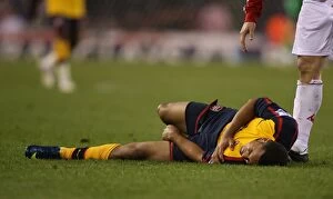 Stoke City v Arsenal 2008-09 Gallery: Arsenals Theo Walcott injured after a challenge by