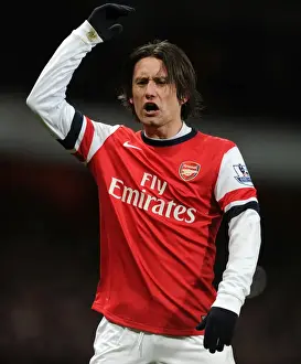 Arsenal V Manchester United 2013-14 Prints: Arsenal's Tomas Rosicky in Action Against Manchester United (2013-14)
