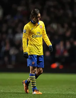 Aston Villa V Arsenal 2013-14 Prints: Arsenal's Tomas Rosicky Suffers Injury During Aston Villa vs Arsenal (2013-14)