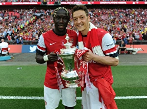 Arsenal's Triumph: FA Cup Victory Celebration vs. Hull City (2014)