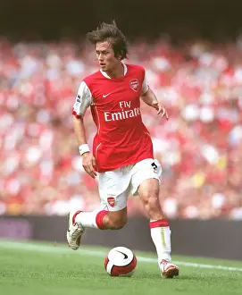Arsenal's Triumph: Rosicky's 3-0 Masterclass Against Sheffield United, FA Premier League, Emirates Stadium, 2006
