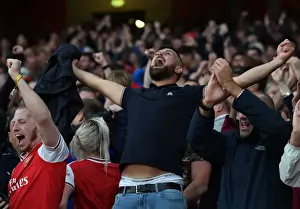 Arsenal's Triumphant Third Goal: Arsenal FC vs Aston Villa, Premier League 2019-20