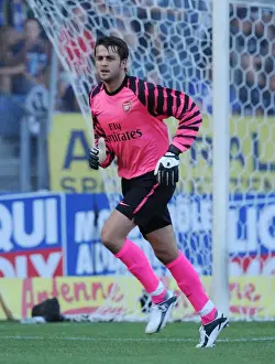 Sturm Graz V Arsenal 2010-11 Prints: Arsenal's Unstoppable Force: Fabianski's Shutout in Arsenal's 4-0 Thrashing of Sturm Graz