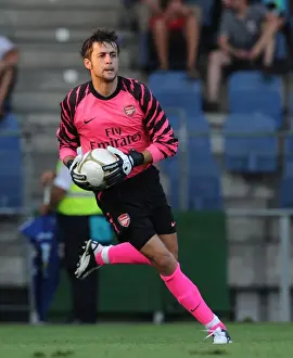 Sturm Graz V Arsenal 2010-11 Prints: Arsenal's Unstoppable Force: Fabianski's Shutout Leads 4-0 Crush of Sturm Graz