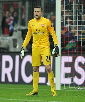 Arsenal's Unyielding Goalkeeper: Lukasz Fabianski's Brave Performance Against Bayern Munich in the UEFA Champions League (2012-13)