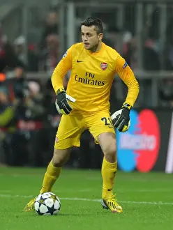 Bayern Munich V Arsenal 2012-13 Prints: Arsenal's Unyielding Goalkeeper