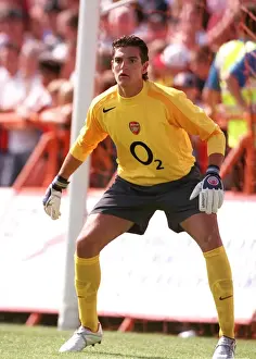 Arsenal's Unyielding Guardian: Mannone - The Unwavering Arsenal FC Goalkeeper