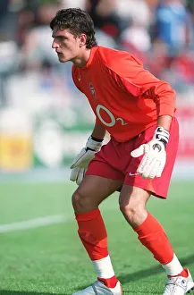 Arsenal's Unyielding Guardian: Vito Mannone