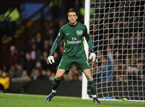Arsenal's Unyielding Guardian: Wojciech Szczesny's Unwavering Performance at Aston Villa (2011-12)