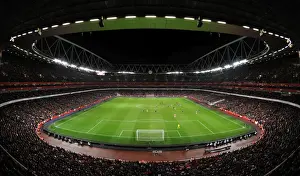 Arsenal's Victory: 1-0 over Stoke City in the Barclays Premier League at Emirates Stadium (February 23, 2011)