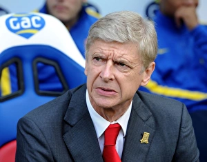Arsene Wenger: Arsenal Manager at Crystal Palace, Premier League 2013-14
