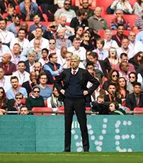 Arsene Wenger at the FA Cup Semi-Final: Arsenal vs Manchester City