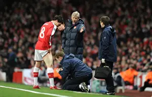 Arsenal V FC Porto 2009-10 Prints: Arsene Wenger Watching Over Injured Samir Nasri during Arsenal's 5-0 Victory over FC Porto