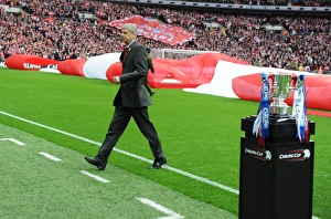 Arsene Wenger's Disappointment: Heartbreaking Carling Cup Final Defeat to Birmingham City (February 27, 2011)
