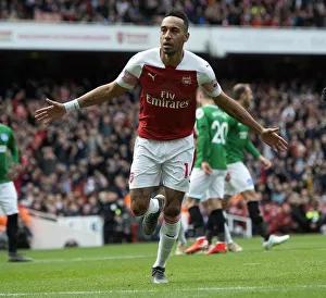 Arsenal v Brighton & Hove Albion 2018-19 Gallery: Aubameyang goal 1 190505WAFC