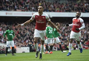 Arsenal v Brighton & Hove Albion 2018-19 Gallery: Aubameyang goal 2 190505WAFC
