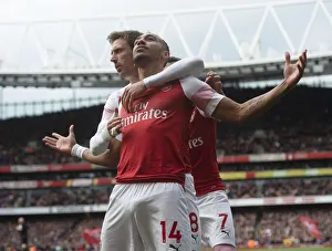 Arsenal v Brighton & Hove Albion 2018-19 Gallery: Aubameyang goal 4 190505WAFC