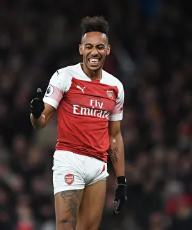 Arsenal V Newcastle United 2018-19 Prints: Aubameyang's Spectacular April Goal: Arsenal vs. Newcastle United (2018-19)