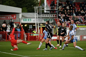 Brighton And Hove Albion Women V Arsenal Women 2024-25 Prints: Brighton & Hove Albion FC v Arsenal FC - Barclays Women's Super League Brighton & Hove Albion FC v Arsenal FC