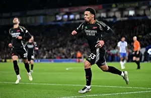 Brighton & Hove Albion FC v Arsenal FC - Premier League Brighton & Hove Albion FC v Arsenal FC - Premier League