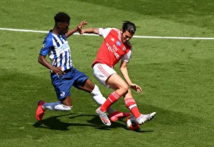 Brighton And Gallery: Brighton & Hove Albion v Arsenal FC - Premier League Brighton & Hove Albion v
