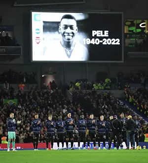 Brighton & Hove Albion v Arsenal FC - Premier League