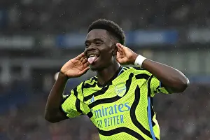 Brighton & Hove Albion v Arsenal FC - Premier League