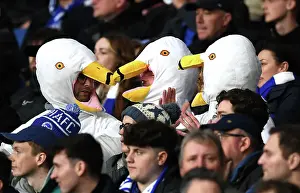 Brighton & Hove Albion v Arsenal FC - Premier League