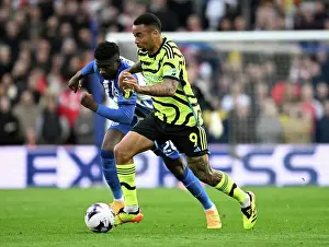 Brighton & Hove Albion v Arsenal FC - Premier League