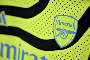 Brighton & Hove Albion v Arsenal FC - Premier League