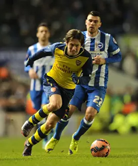 Brighton And Hove Albion V Arsenal - FA Cup 2014/15 Prints: Brighton vs Arsenal: Rosicky Clashes with Holla in FA Cup Showdown