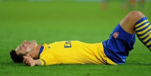 Images Dated 30th November 2013: Cardiff City v Arsenal - Premier League